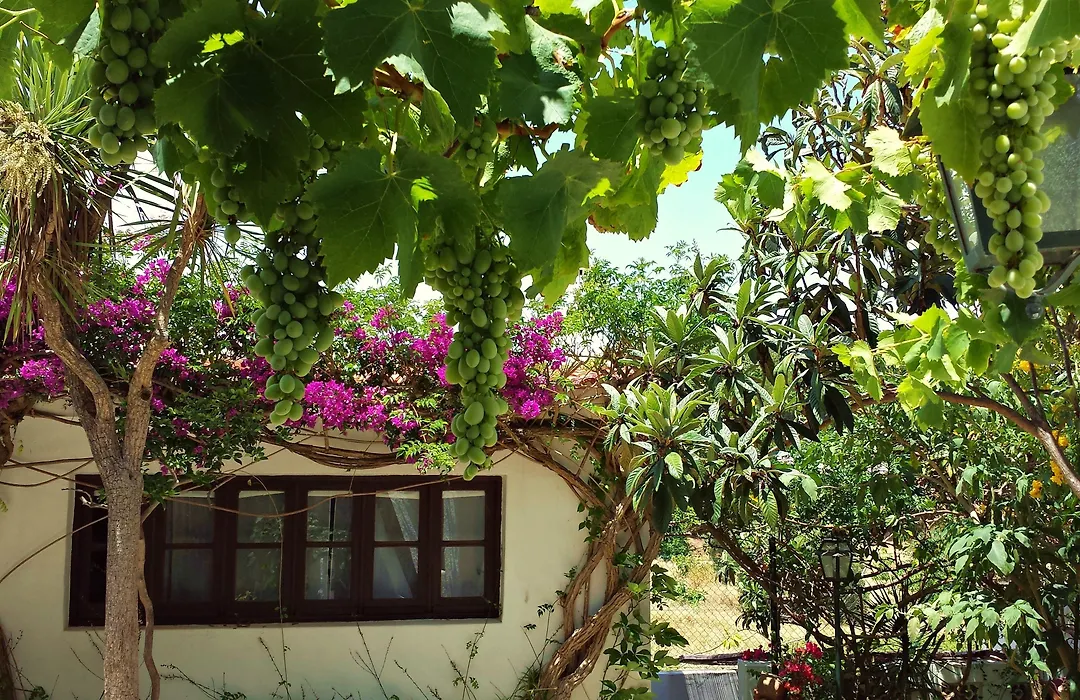 Uma Casa A Beira Sol-1